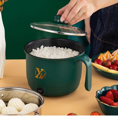 Mini Electric Cooker