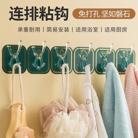Six Row Plastic Hook (১ পাতা)